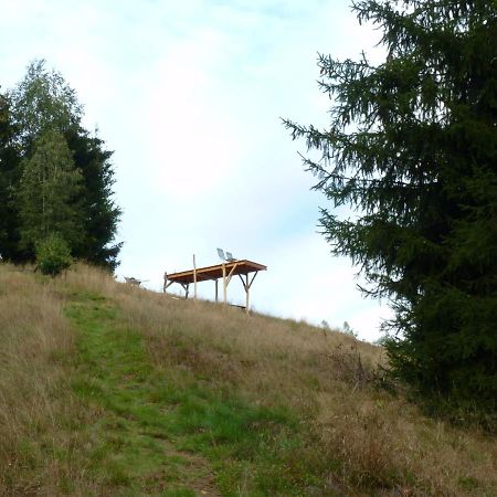 Ein Platz Fuer Ruhe Und Naturgenuss 赛博尼茨 外观 照片