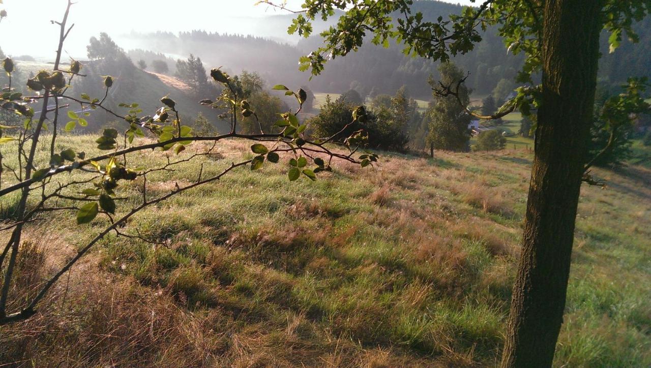 Ein Platz Fuer Ruhe Und Naturgenuss 赛博尼茨 外观 照片