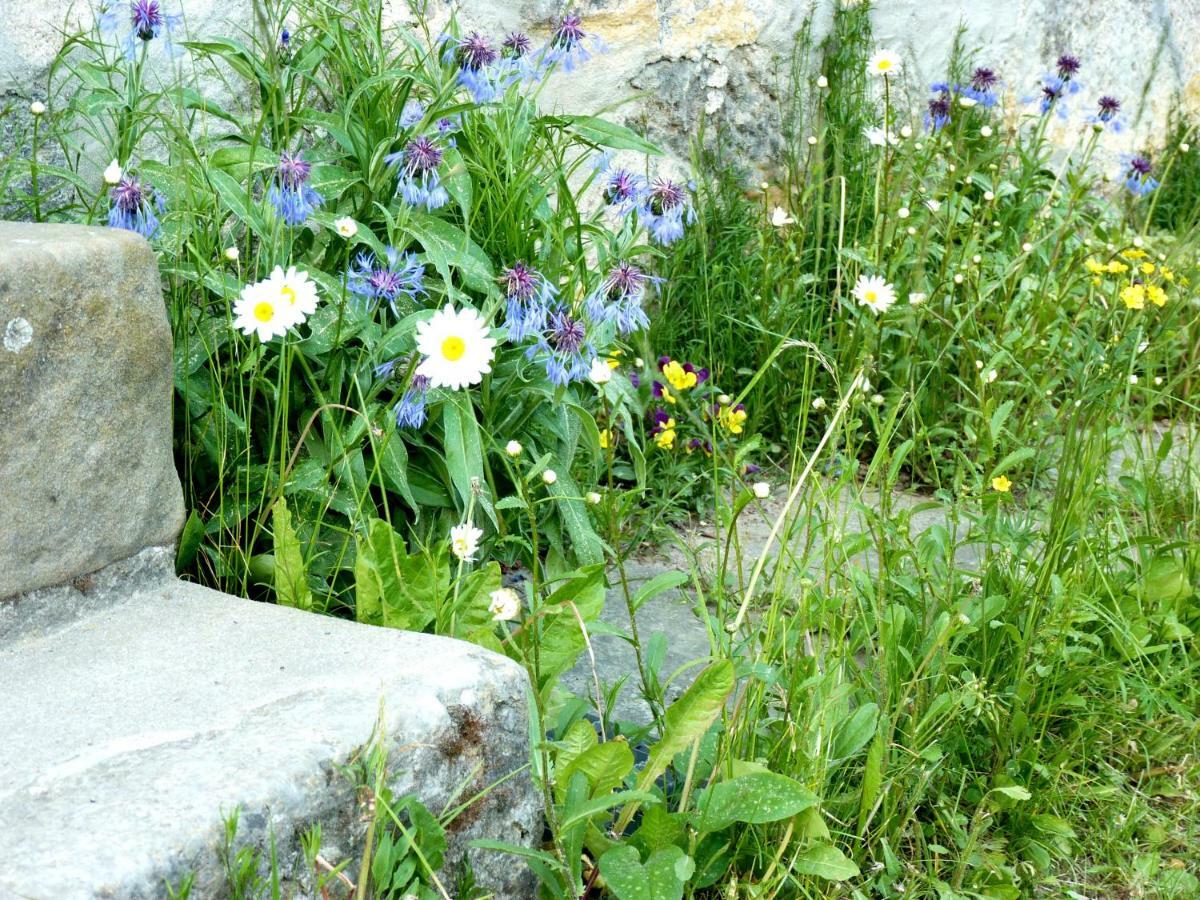 Ein Platz Fuer Ruhe Und Naturgenuss 赛博尼茨 外观 照片