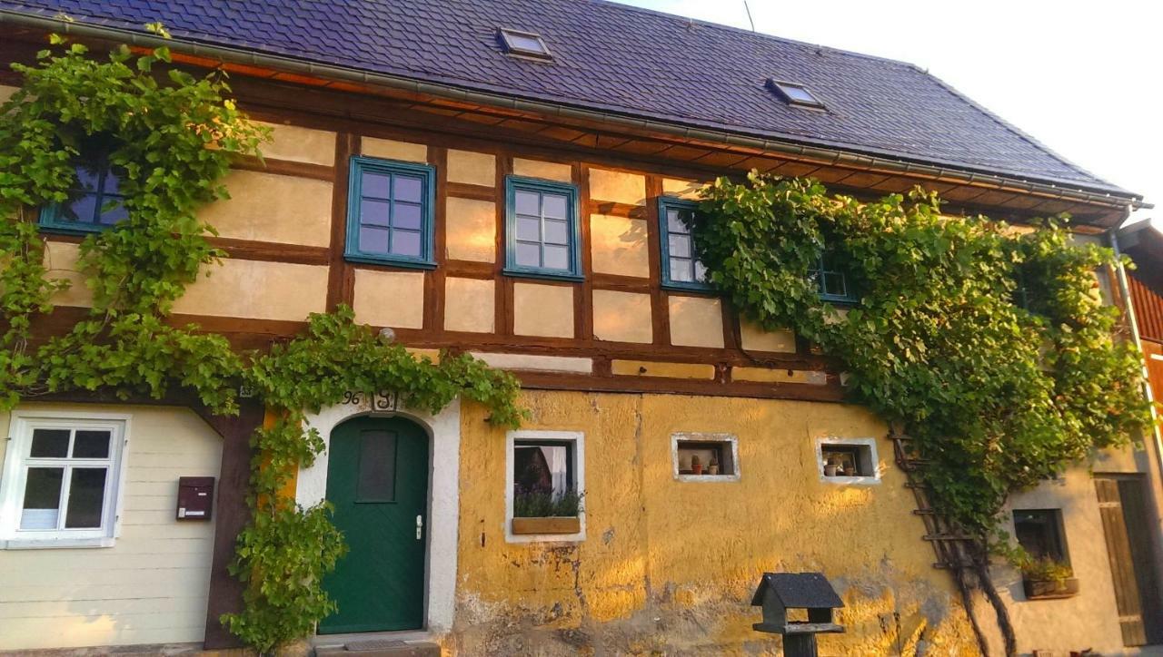 Ein Platz Fuer Ruhe Und Naturgenuss 赛博尼茨 外观 照片