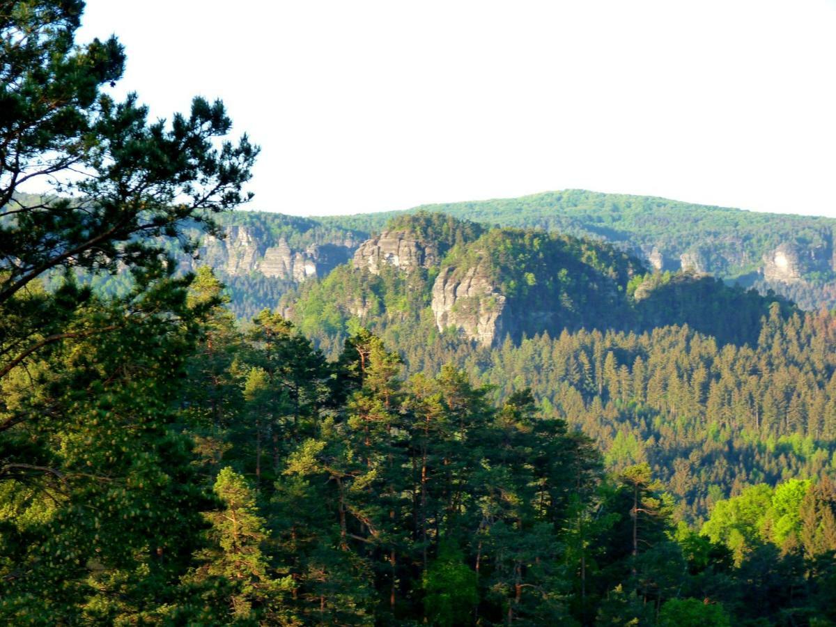 Ein Platz Fuer Ruhe Und Naturgenuss 赛博尼茨 外观 照片